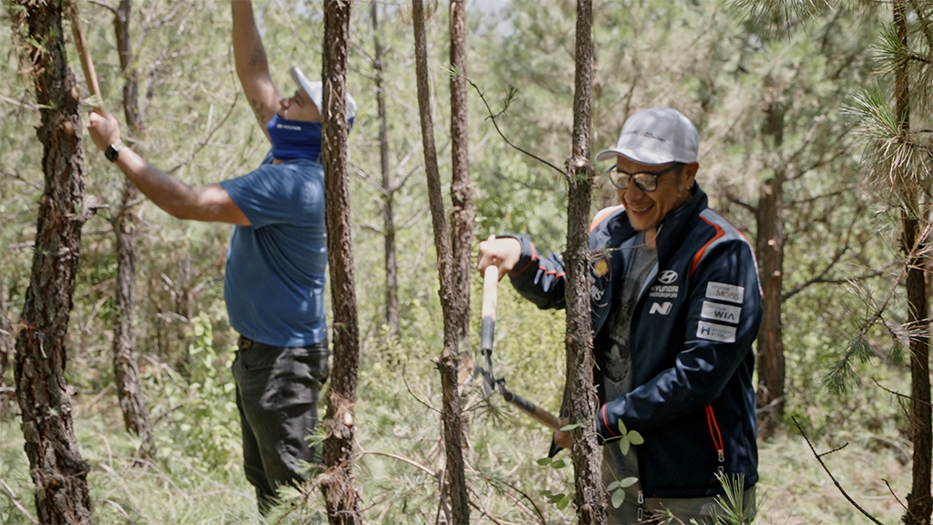 poda y el mantenimiento adecuado de los árboles forestales Hyundai y Ayuda en Acción