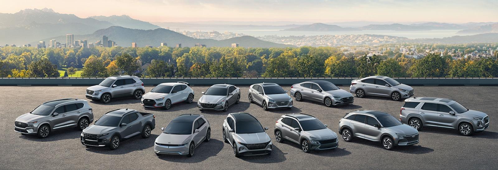 Modelos Hyundai estacionados con un parque y una ciudad al fondo