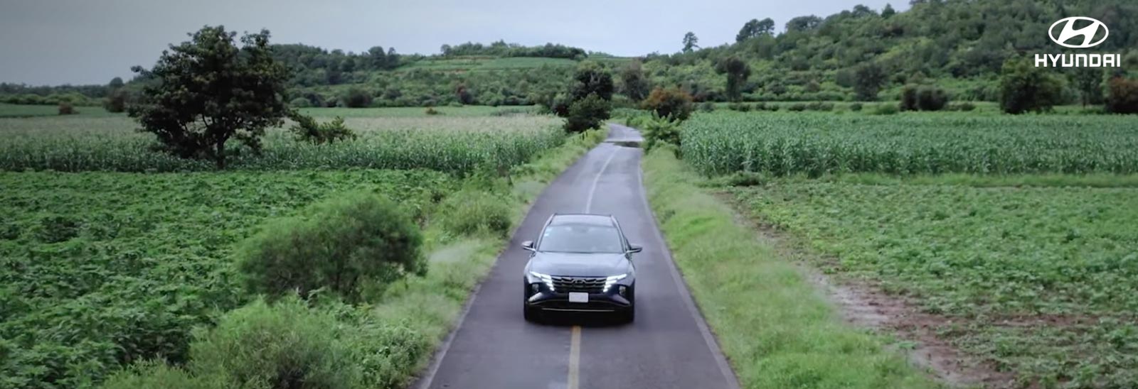 Auto de Hyundai recorriendo una carretera rodeada de cosechas