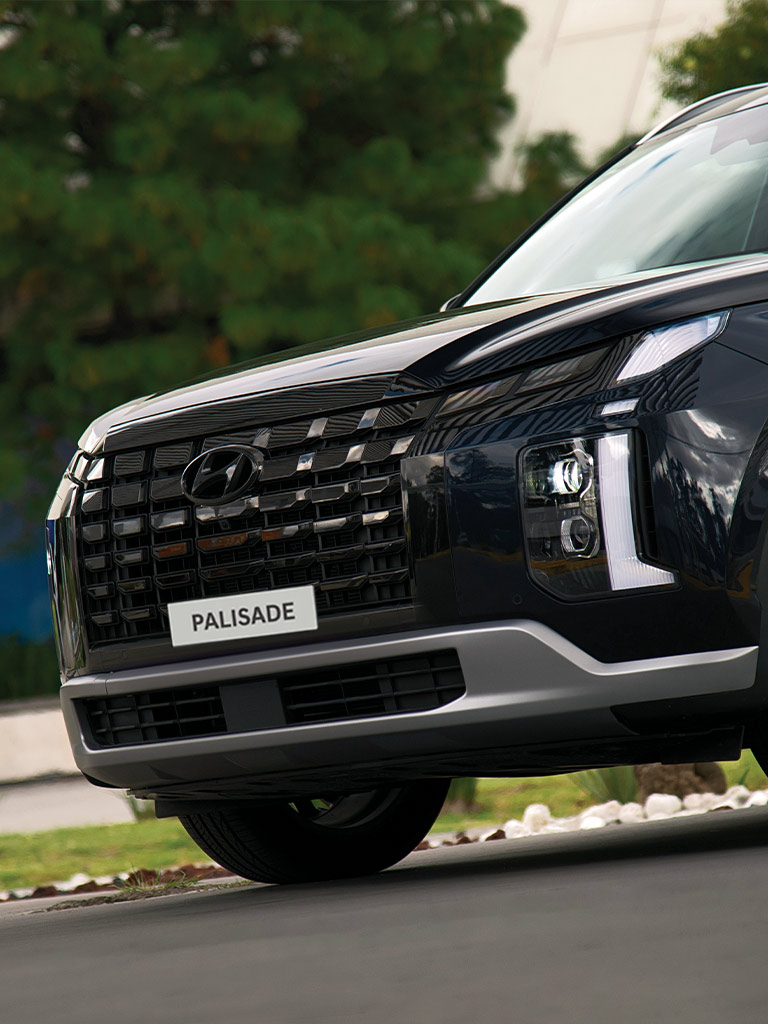 Familia caminando hacia una Hyundai Palisade color blanca en un parque