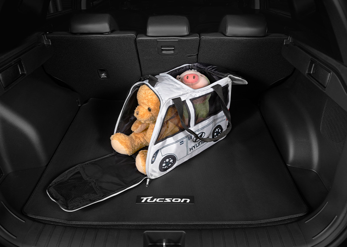 transportado de mascotas Hyundai